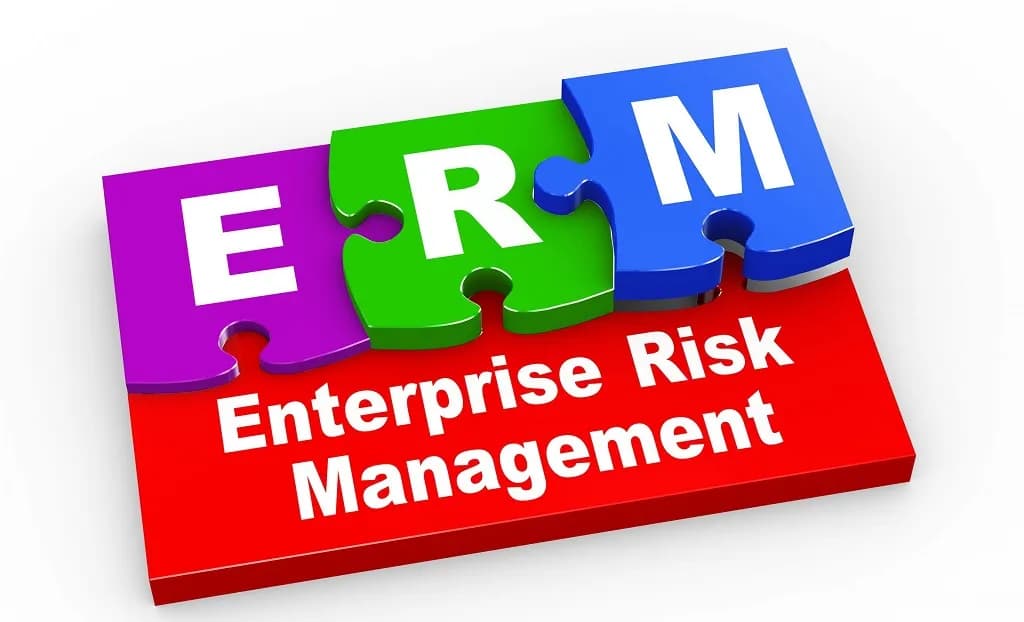 Enterprise Risk Management