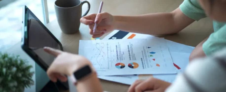 Accounting Professional