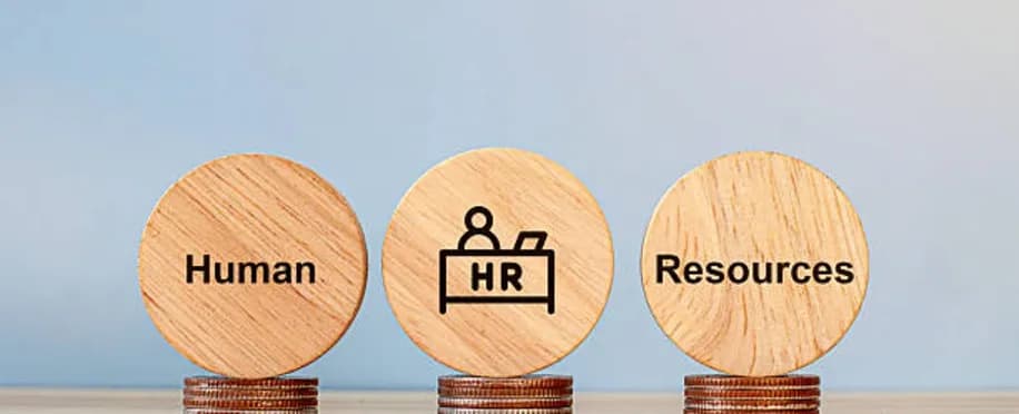 Accounting Professional