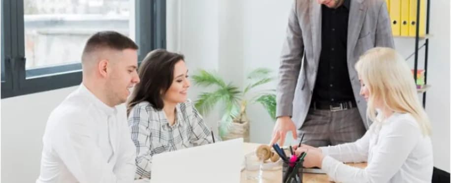 Accounting Professional