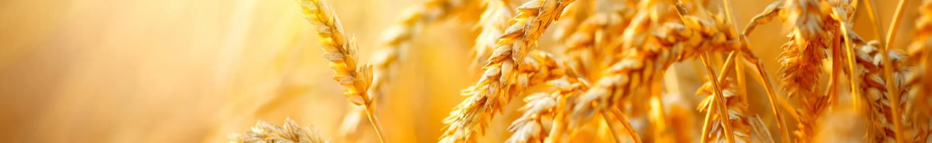 Agricultural marketing techniques