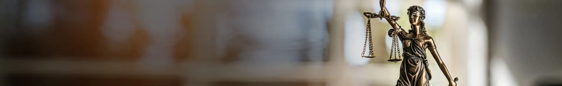 Preparation for Certified Professional Purchasing Manager (CPPM)
