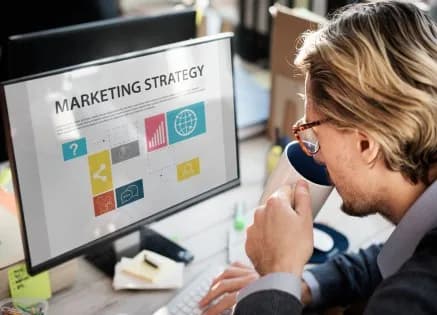 Overview of Sales and Marketing Responsibilities
