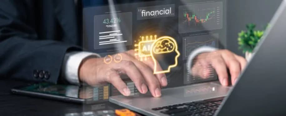 Accounting Professional