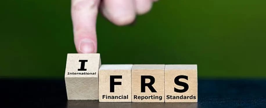 Accounting Professional