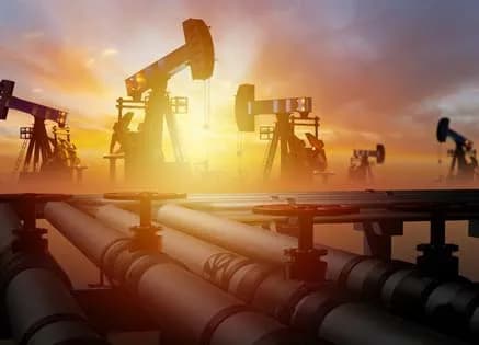 A Petroleum Hydrocarbon: Environmental & Health Effects