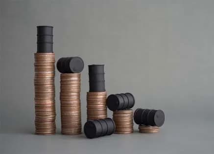 Petroleum Economics: Concept and Impact