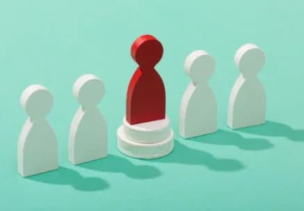 Effective management leadership in the organisations