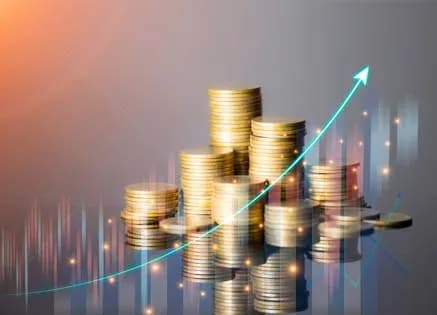 The Different Types of Funds: Which One Should You Choose?