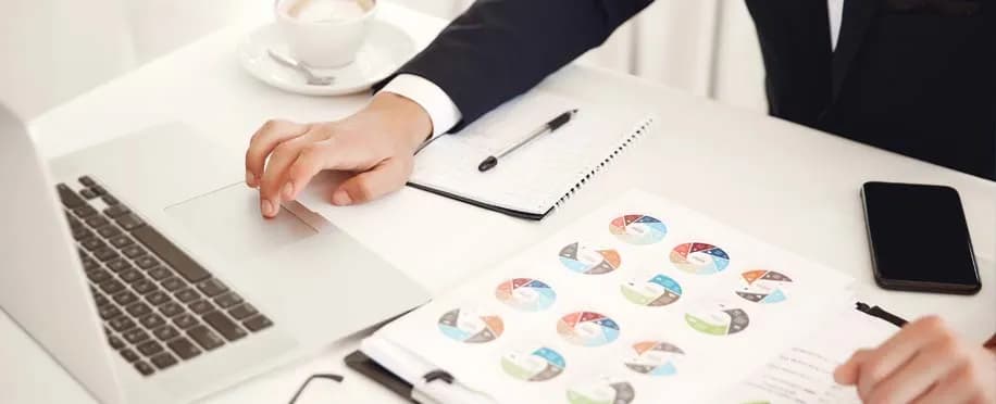Accounting Professional