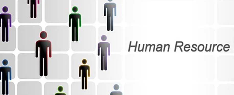 Accounting Professional