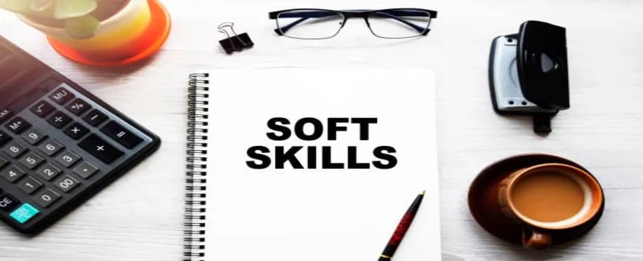 Accounting Professional