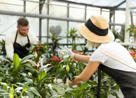 Essential Skills You Can Gain from Agriculture Horticulture Courses