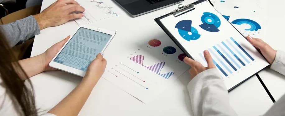 Accounting Professional