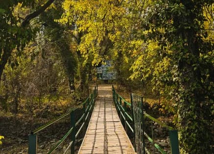 Why Your Business Needs an Environmental Investigator for Sustainable Operations