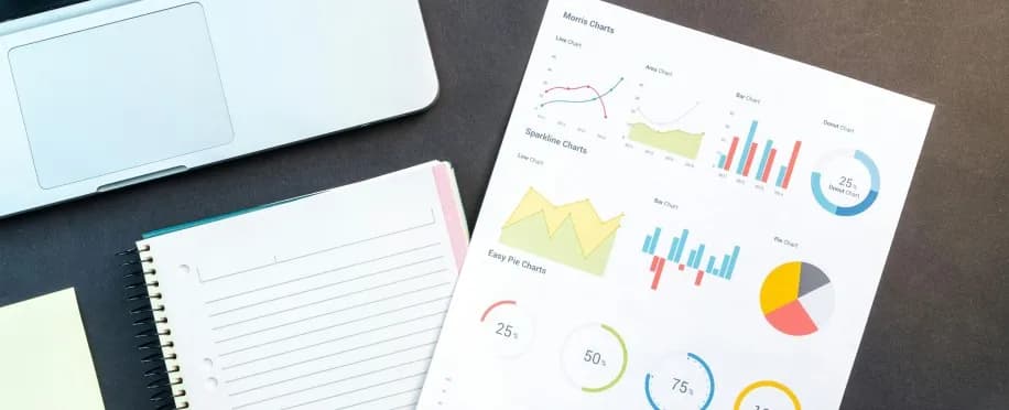 Accounting Professional