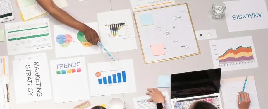 Accounting Professional