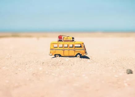 What Will You Learn in a Tourism Management Course?