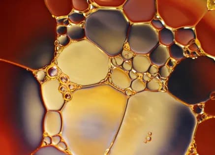 Top Oil and Gas Training Courses in London for Industry Professionals