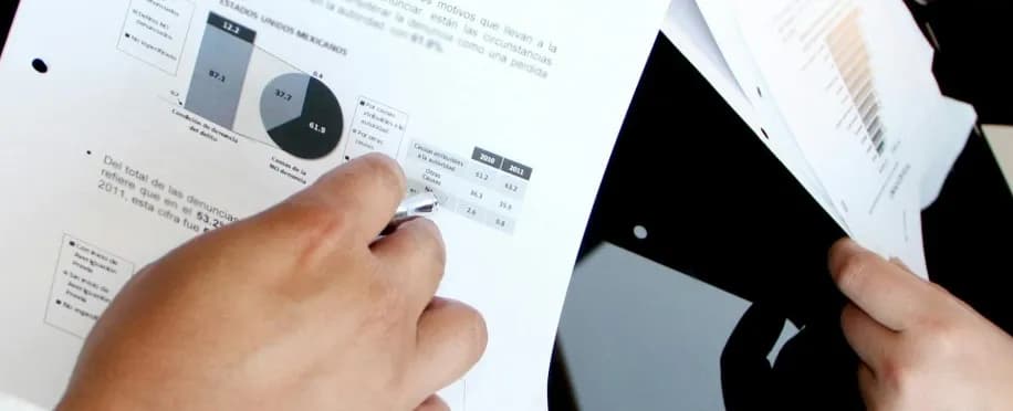 Accounting Professional